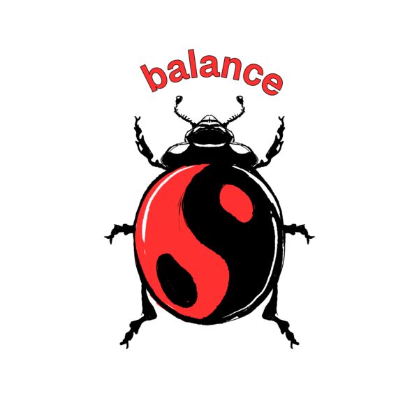 balance bug Thumbnail